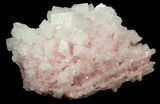 Pink Halite Crystal Plate - Trona, California #40548-3